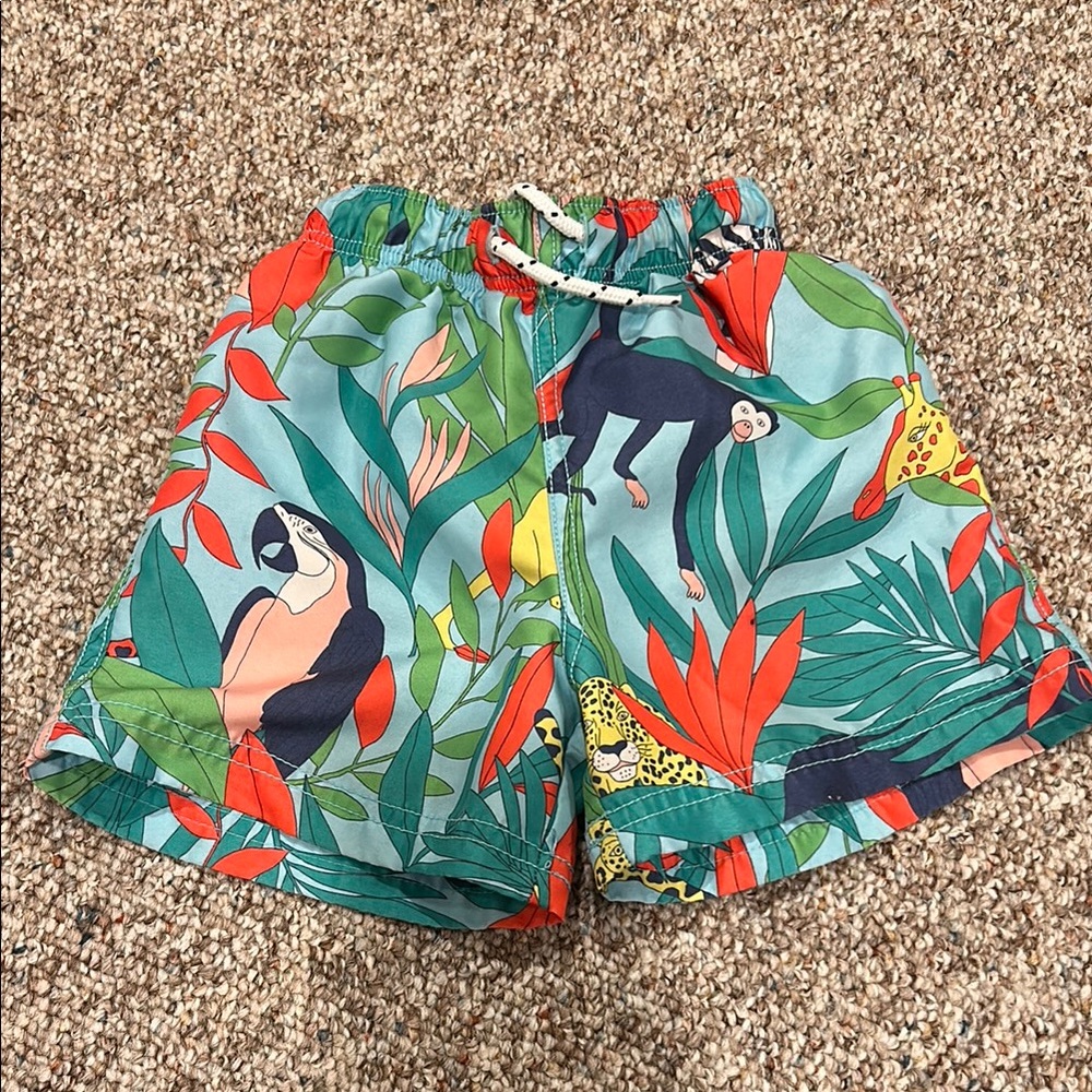 Mini Boden Boys Tropical Swim Shorts Trio - Sharks, Crocodiles & Parrots - Picture 10 of 13